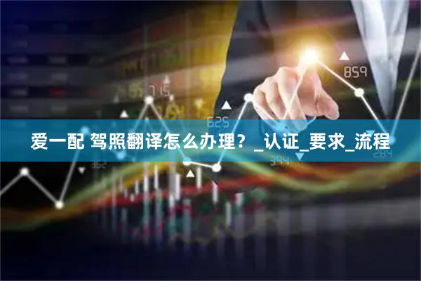 爱一配 驾照翻译怎么办理？_认证_要求_流程