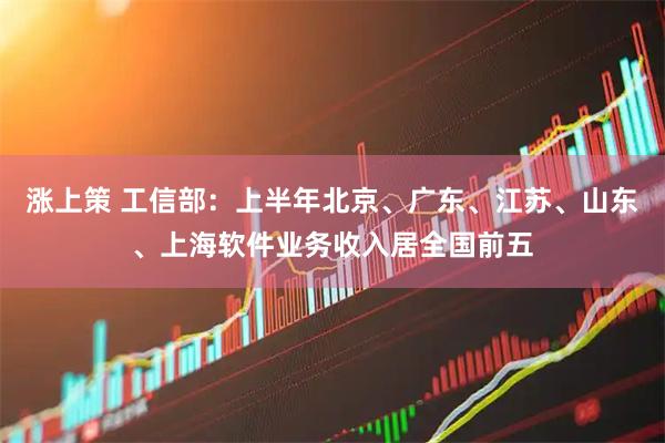涨上策 工信部：上半年北京、广东、江苏、山东、上海软件业务收入居全国前五