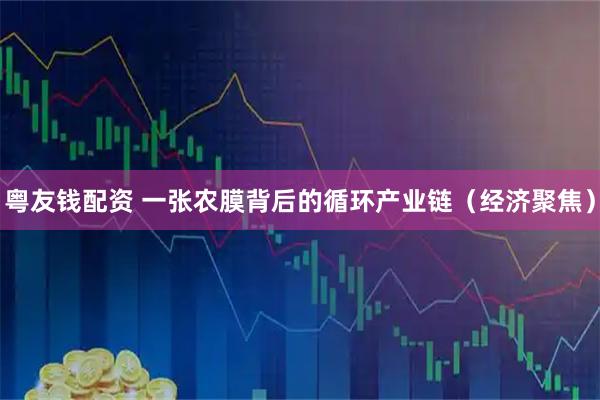 粤友钱配资 一张农膜背后的循环产业链（经济聚焦）