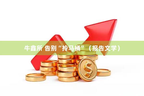 牛鑫所 告别“拎马桶”（报告文学）